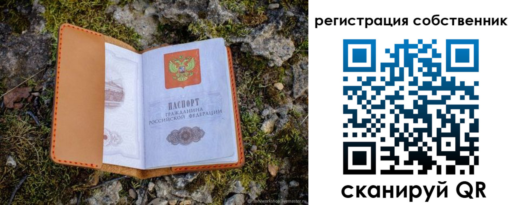 прописка поиск в Нелидово
